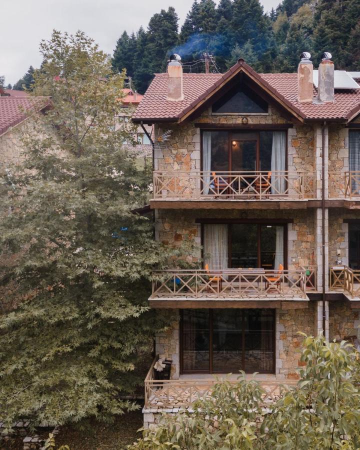 Parnassus Dreamwood Chalet Eptálofos Exterior photo